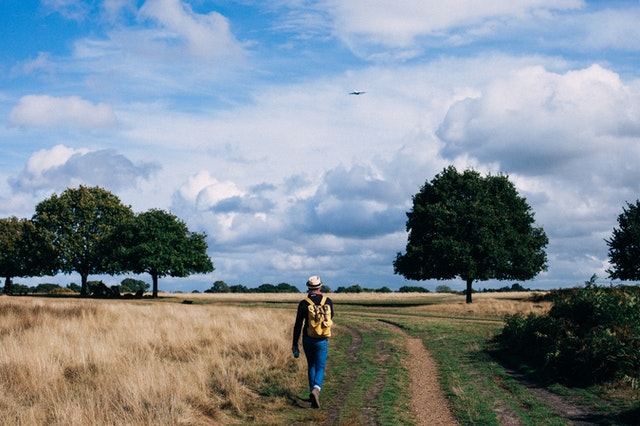 a hiker in a grassland